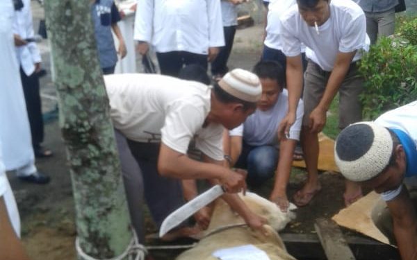 Perayaan Idul Adha 1439H, Pemko Siantar Kurban 5 Ekor Sapi Perayaan Idul Adha 1439H, Pemko Siantar Kurban 5 Ekor Sapi