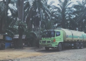 Oknum Pamen Polres Labuhanbatu Diduga Bekingi Mafia CPO di Labusel