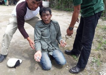 Simpan Daun Kering, Polsek Panei Tongah Tangkap warga Siantar
