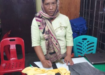 Sarma Tambunan, Pelaku Pembacokan Seorang Nenek Diamankan di Silangit