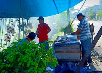 Pedagang Pakkat Bakar Raup Untung di Bulan Ramadan