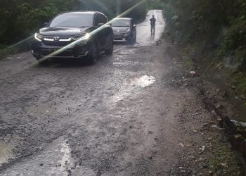 Butuh Rambu Peringatan di Jalan Rusak Taput, Demi Kenyamanan Pemudik