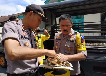 H+ 3 Lebaran, Warga Digegerkan Penemuan Granat Nenas di Siantar
