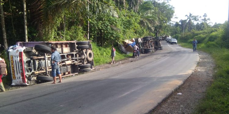 Truk Pengangkut Ribuan Butir Telur dan Pulp Terbalik di Jalinsum, Ini Videonya..