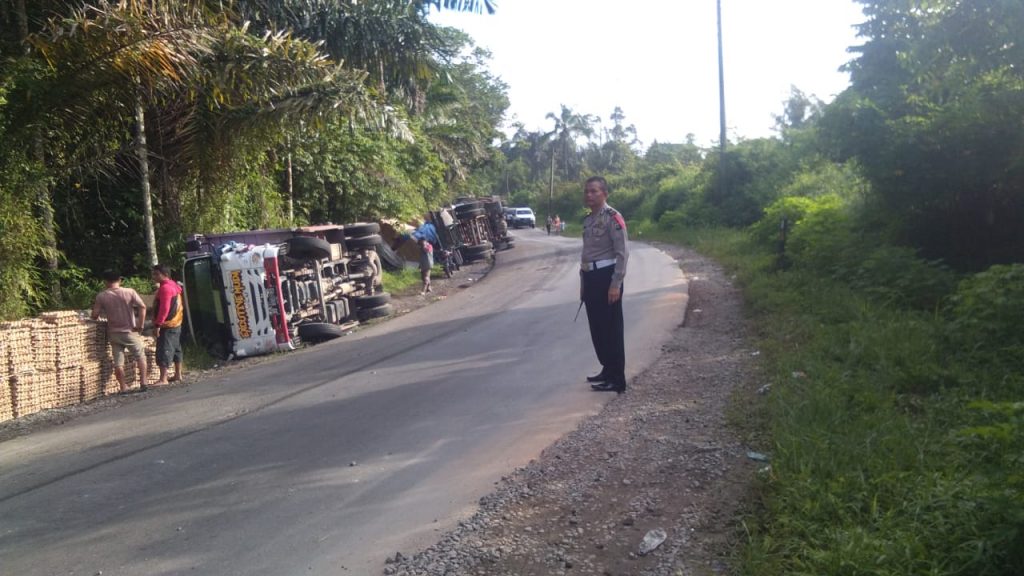 Truk Pengangkut Ribuan Butir Telur dan Pulp Terbalik di Jalinsum, Ini Videonya..