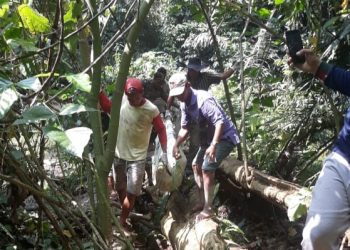 Cari Bambu, Malah Temukan Mayat Wanita Tanpa Busana di Sungai
