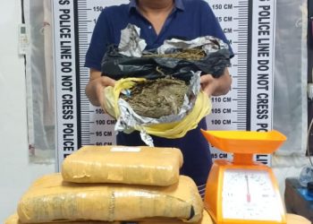 Junaidi Caniago Ditangkap dengan Belasan Kilo Ganja dari Kinantan