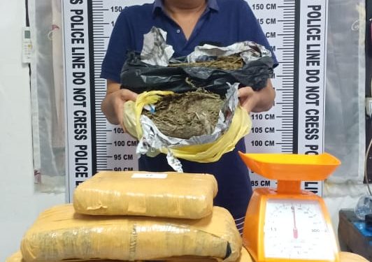 Junaidi Caniago Ditangkap dengan Belasan Kilo Ganja dari Kinantan Junaidi Caniago Ditangkap dengan Belasan Kilo Ganja dari Kinantan