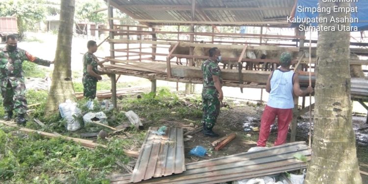 Tunjukkan Kepedulian Terhadap Warga Binaan, Personel Kodim 0208/Asahan Bantu Perbaiki Kandan Ternak Tunjukkan Kepedulian Terhadap Warga Binaan, Personel Kodim 0208/Asahan Bantu Perbaiki Kandan Ternak