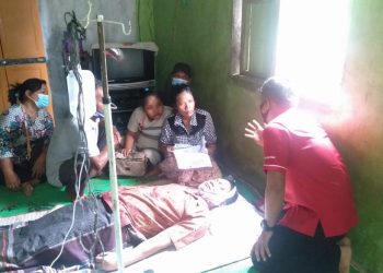 Barita Tobing Tewas Tersengat Listrik saat Mendodos Sawit