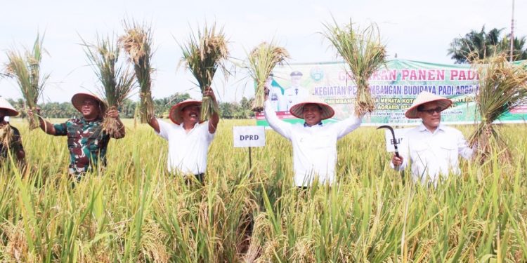 Bupati bersama Dandim 0207 Simalungun dan Deputi Litbang BKKBN RI Panen Raya
