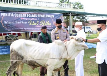 Polres Simalungun Potong Hewan Kurban 10 Sapi dan 4 Kambing Semua Sehat dan Layak
