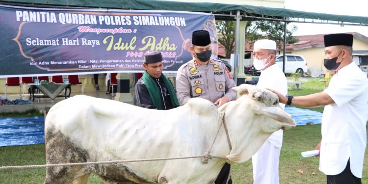 Polres Simalungun Potong Hewan Kurban 10 Sapi dan 4 Kambing Semua Sehat dan Layak