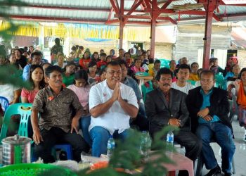 Mangapul Purba, Bertani hingga Jadi Politisi, Ini Perjalanan Karirnya