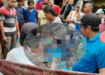 Berteduh saat Hujan, Fernando Sidauruk, Penggembala Sapi Meninggal Ditimpa Pohon Sawit Tumbang