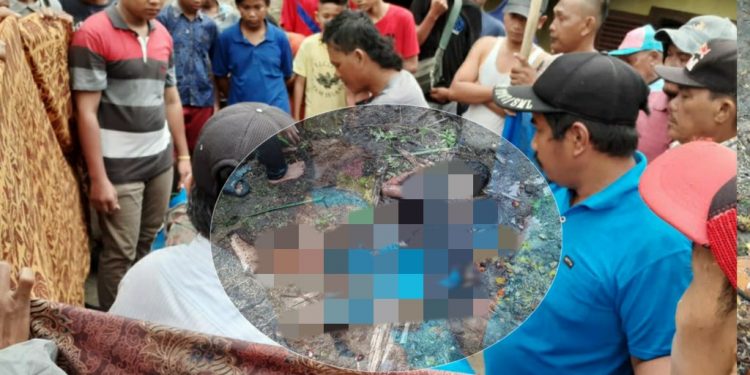 Berteduh saat Hujan, Fernando Sidauruk, Penggembala Sapi Meninggal Ditimpa Pohon Sawit Tumbang