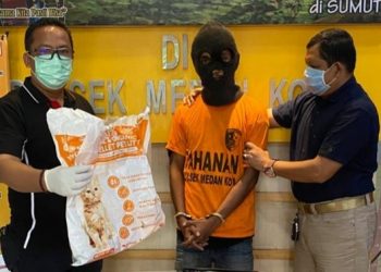 Curi Kucing Himalaya, Anwar Diciduk Polsek Medan Kota