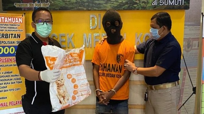 Curi Kucing Himalaya, Anwar Diciduk Polsek Medan Kota