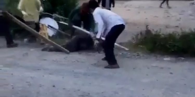 Viral, Video Salamat Sianipar Dihakimi Warga Karena Covid-19 di Sumatera Utara Viral, Video Salamat Sianipar Dihakimi Warga Karena Covid-19 di Sumatera Utara