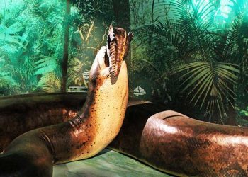 Mengerikan! Monster Ular Terbesar dan Telan Buaya Raksasa 'Dibangkitkan'