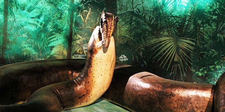 Mengerikan! Monster Ular Terbesar dan Telan Buaya Raksasa 'Dibangkitkan' Mengerikan! Monster Ular Terbesar dan Telan Buaya Raksasa 'Dibangkitkan'
