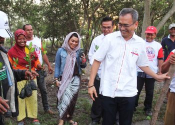 Kelompok Tani Nelayan Mandiri Tanam Mangrove Bersama Sihar