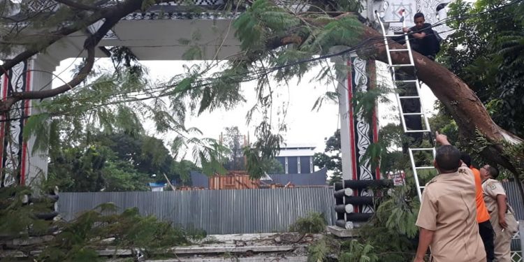 Pohon Tumbang Hantam Gapura Dekat Pembangunan Tugu Raja Sangnaualuh