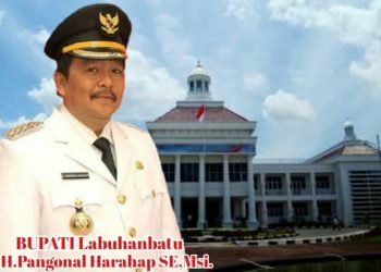 Baru 17 Bulan Jabat Bupati, Pangonal Harahap Diciduk KPK