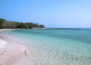 Tanjung Lesung Akan Gelar Rhino Kites Festival 2018, Ada 100 Layang-Layang Hias