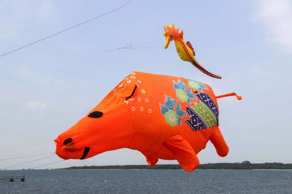 Tanjung Lesung Akan Gelar Rhino Kites Festival 2018, Ada 100 Layang-Layang Hias Tanjung Lesung Akan Gelar Rhino Kites Festival 2018, Ada 100 Layang-Layang Hias