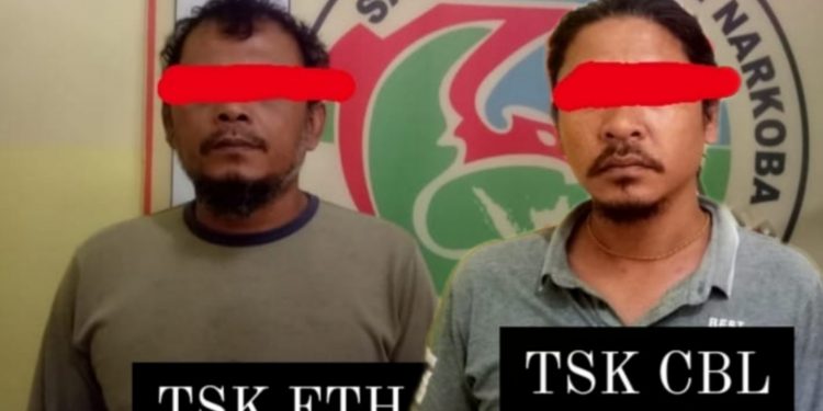 Pemilik dan Pemasok Ganja Diciduk Polres Dairi Pemilik dan Pemasok Ganja Diciduk Polres Dairi