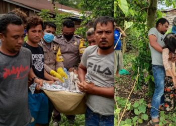 Marina Pardede Ditemukan Tewas Tergantung di Pohon Sirsak