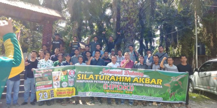Himpunan Peternak Domba Kambing Indonesia Cabang Labuhanbatu Raya Dikukuhkan Himpunan Peternak Domba Kambing Indonesia Cabang Labuhanbatu Raya Dikukuhkan