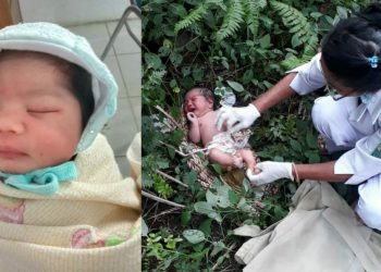 Bayi Perempuan Dibuang di Kebun PT Sipef, Ditemukan Pencari Lidi