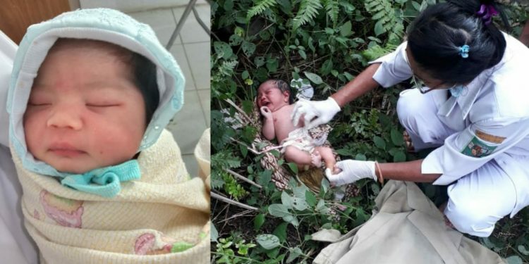 Bayi Perempuan Dibuang di Kebun PT Sipef, Ditemukan Pencari Lidi