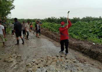 Haroan Bolon Sukses Digelar di Kecamatan Dolok Batu Nanggar