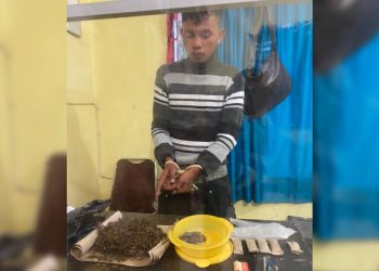 Alvindo Silalahi Diciduk Saat Isap Ganja di Bawah Tower