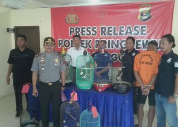 Tak Kuat Iman Saat Lihat Burung, Pria Ini pun Berurusan Dengan Polisi