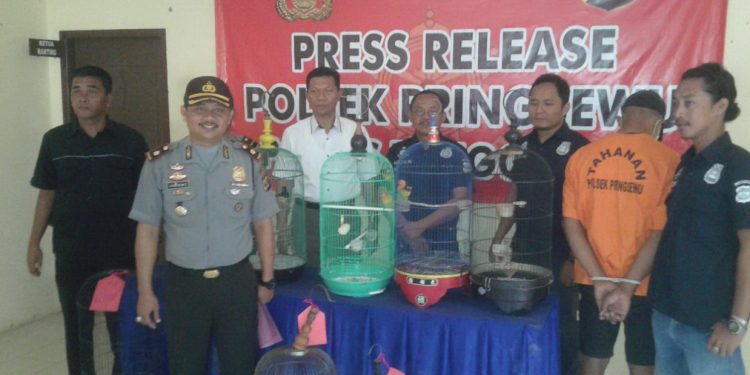 Tak Kuat Iman Saat Lihat Burung, Pria Ini pun Berurusan Dengan Polisi