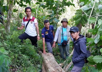 Tiga orang Pelaku Ilegal Logging Diringkus dari Kawasan Hutan