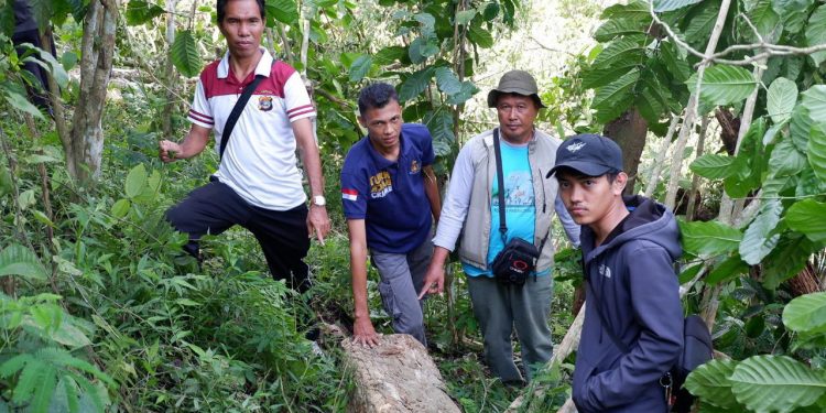 Tiga orang Pelaku Ilegal Logging Diringkus dari Kawasan Hutan Tiga orang Pelaku Ilegal Logging Diringkus dari Kawasan Hutan