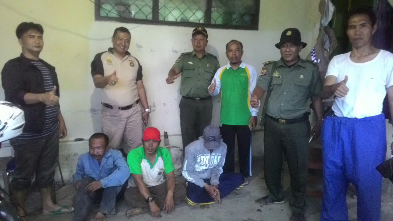 Tiga orang Pelaku Ilegal Logging Diringkus dari Kawasan Hutan Tiga orang Pelaku Ilegal Logging Diringkus dari Kawasan Hutan