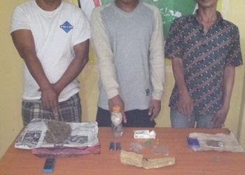 Polres Simalungun Ungkap Jaringan Peredaran Ganja. Berawal dari Penangkapan Seorang Supir Angkutan Umum