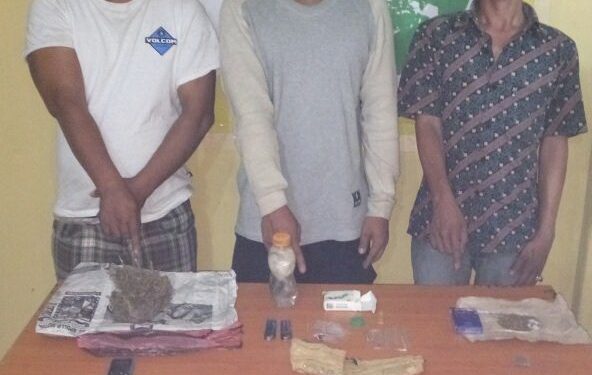 Polres Simalungun Ungkap Jaringan Peredaran Ganja. Berawal dari Penangkapan Seorang Supir Angkutan Umum Polres Simalungun Ungkap Jaringan Peredaran Ganja. Berawal dari Penangkapan Seorang Supir Angkutan Umum