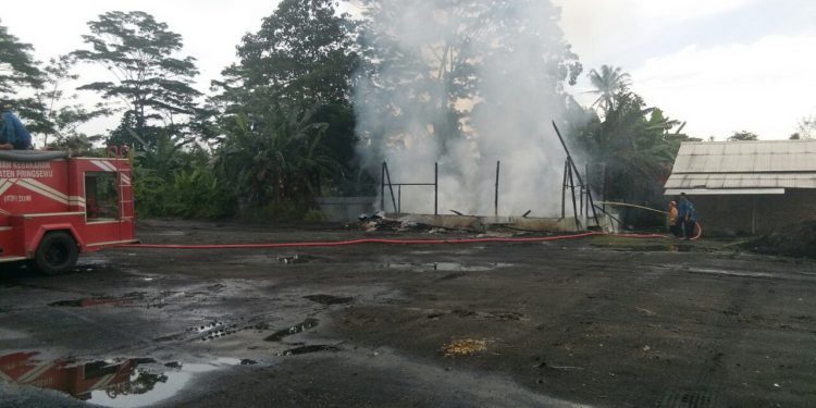 Kebakaran Kilang Batu Timbulkan Kerugian Puluhan Juta Kebakaran Kilang Batu Timbulkan Kerugian Puluhan Juta