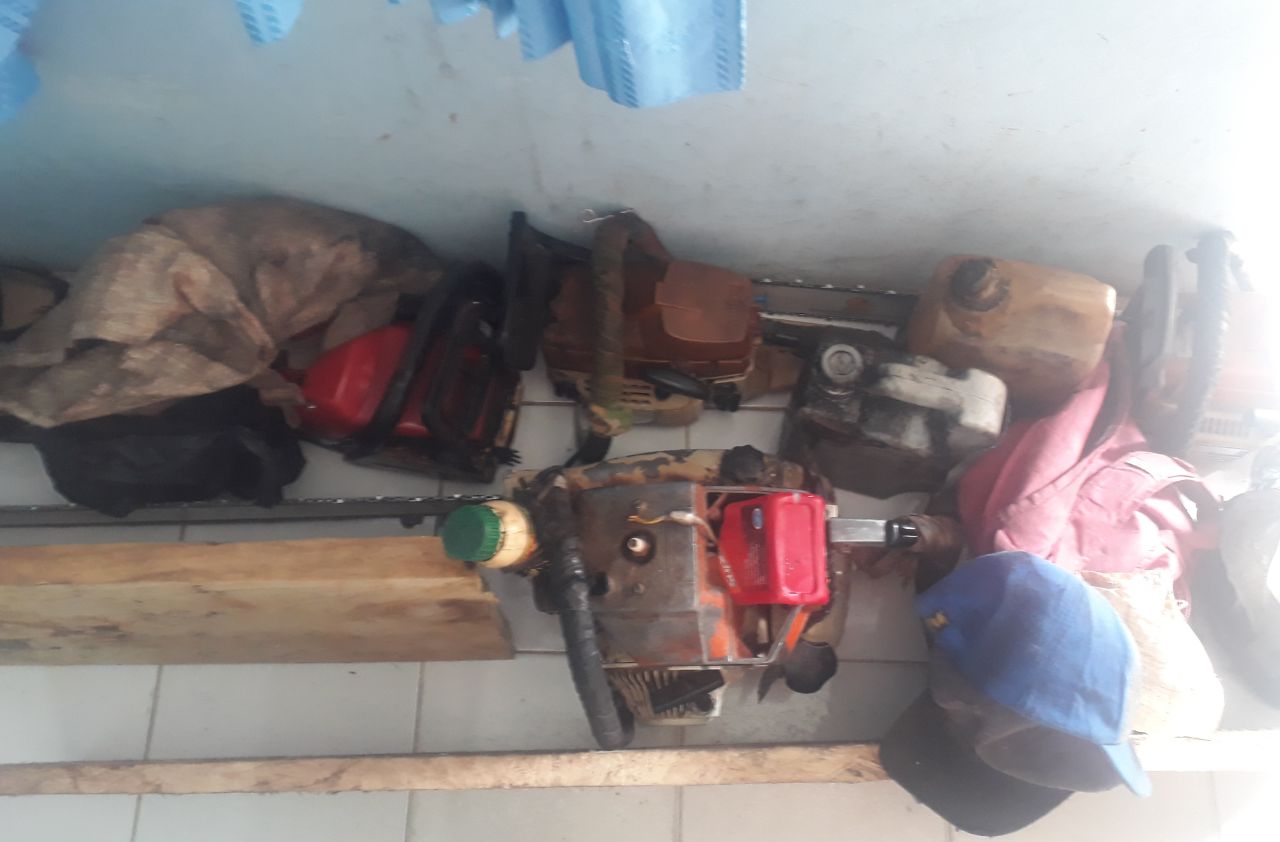Empat Pelaku Ilegal Logging Diringkus Sat Reskrim...