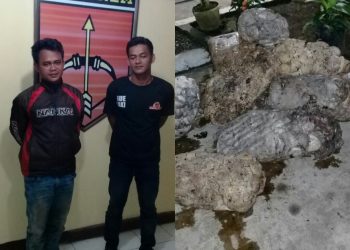 Dituduh Mencuri Getah, Dua Orang Warga Dipolisikan PT.Bridgestone