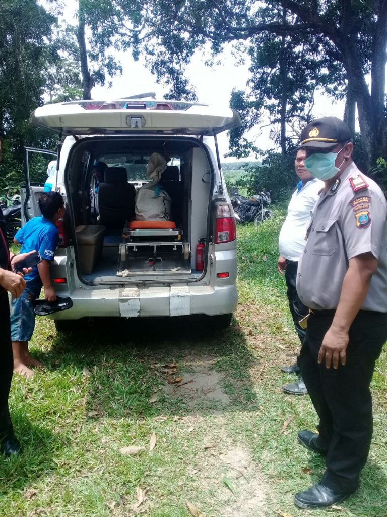 Seram, Tengkorak Manusia Ditemukan Di Hutan Brombos