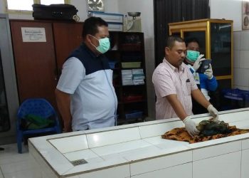 Cari Jamur, Sumiati Temukan Mayat di Dalam Plastik