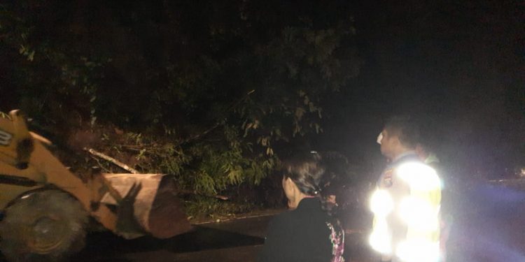 Bencana Longsor di Jalan Lintas Sumatera Sempat Lumpuhkan Arus Lalulintas Bencana Longsor di Jalan Lintas Sumatera Sempat Lumpuhkan Arus Lalulintas